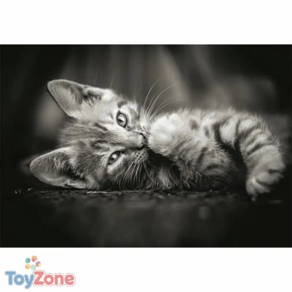 V3HF363532889F93DCDD7128CE3C084FFFBR5803511P2