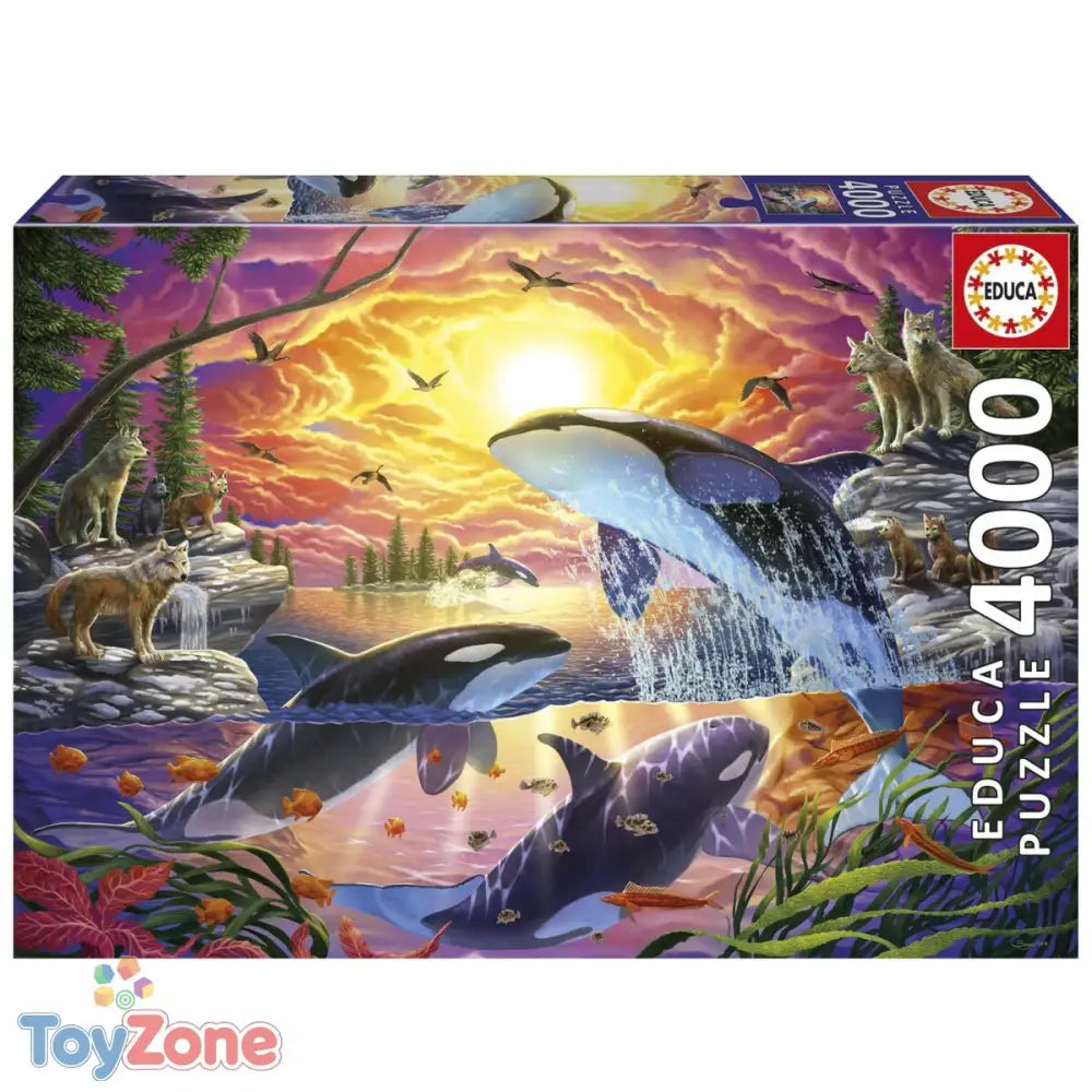 V2H9C0C9537FF6040BB69CBD831FC709C88R7090919P1