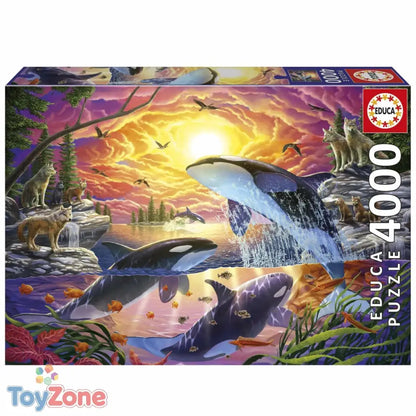 V2H9C0C9537FF6040BB69CBD831FC709C88R7090919P1