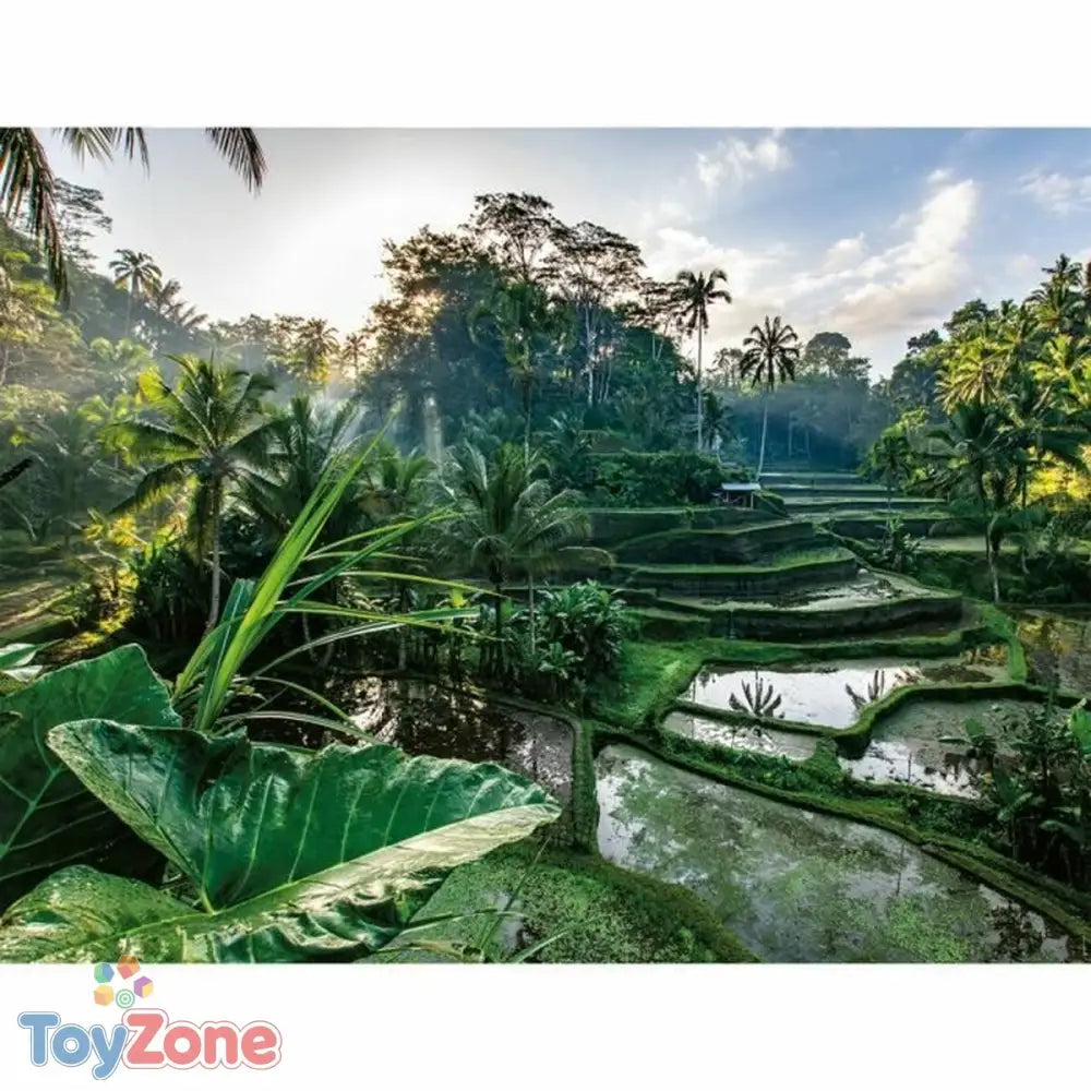 V4H1E990C8315EFF1A8017171EFF68D2394R6361699P2