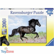 V7H0036B1212973079BEF667060AB7A875DR7074903P1