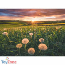 V5HBFD1D372DC9FC0CFF6A48B1291015242R7074099P2