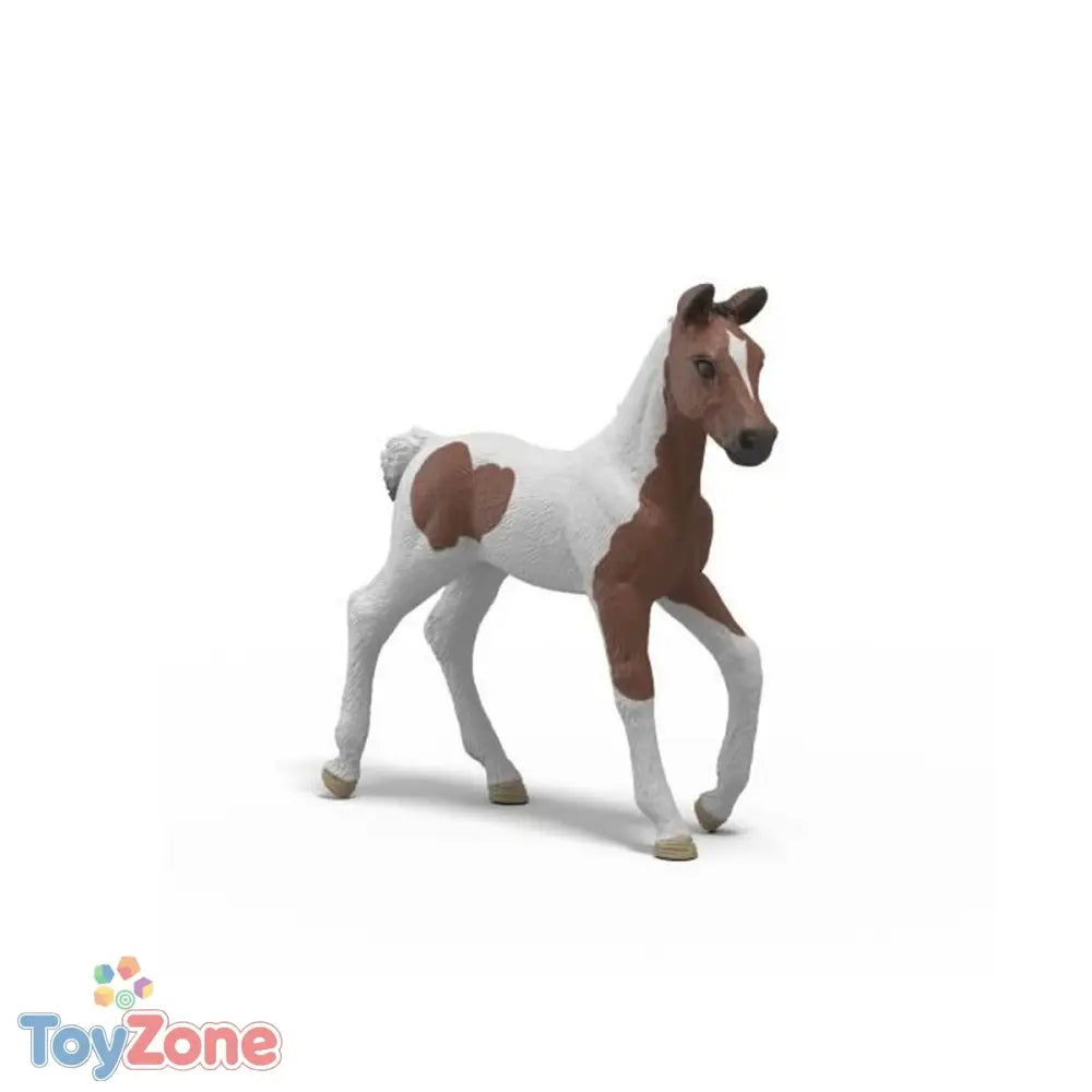 V2HEBE19E31D06278063668E369A67955C3R7425403P5