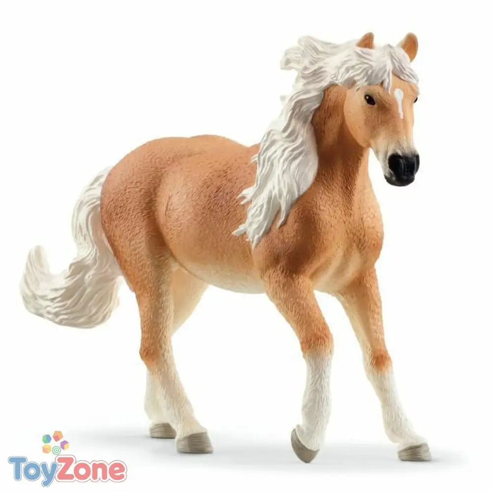 V5H3CC35D1AE59ED7D8751813BEE049644AR7391022P6