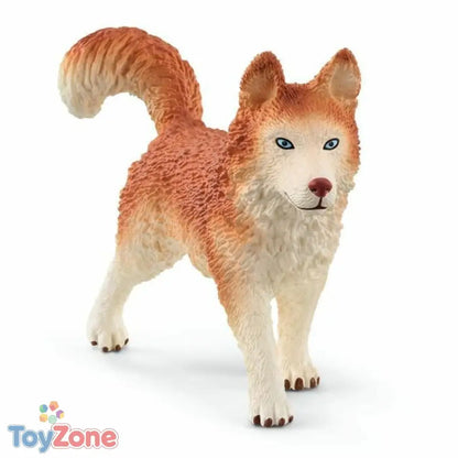 V5H39E1C2B022FCCE18A19EAA3EB393D0D6R6434682P3