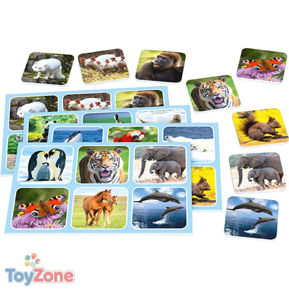 V6H6E399BB1FC5681BE1196C003F97B4F2ER3517846P2