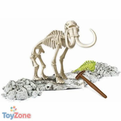 V7HFD5BAC0EB254AA30D14B9AA7BA1DBFDFR3868605P3