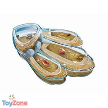 V6H2B86B582D7F26C92C9F4B4336AD560EAR4988377P2