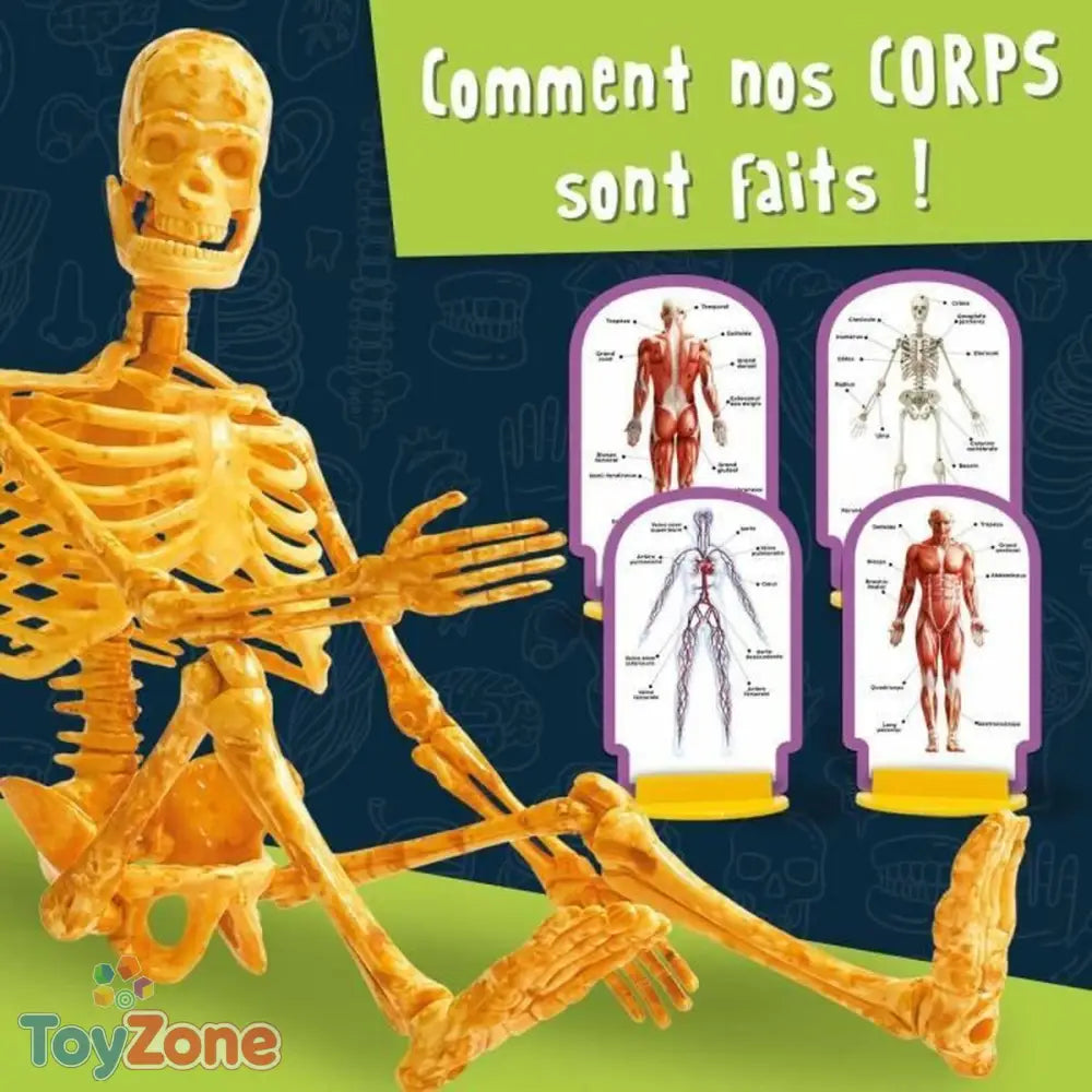 V3H40BA5568BBBBABD4CD97224EDC8A1B4DR5766848P3