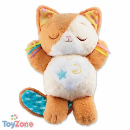 V4HB3FF88A84CBF7BDB93B9E76853554196R5169263P1