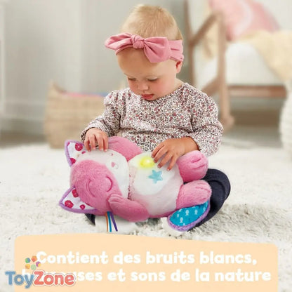 V2H54529C8DE2B8E8007BA00B601BD730F0R6754294P7